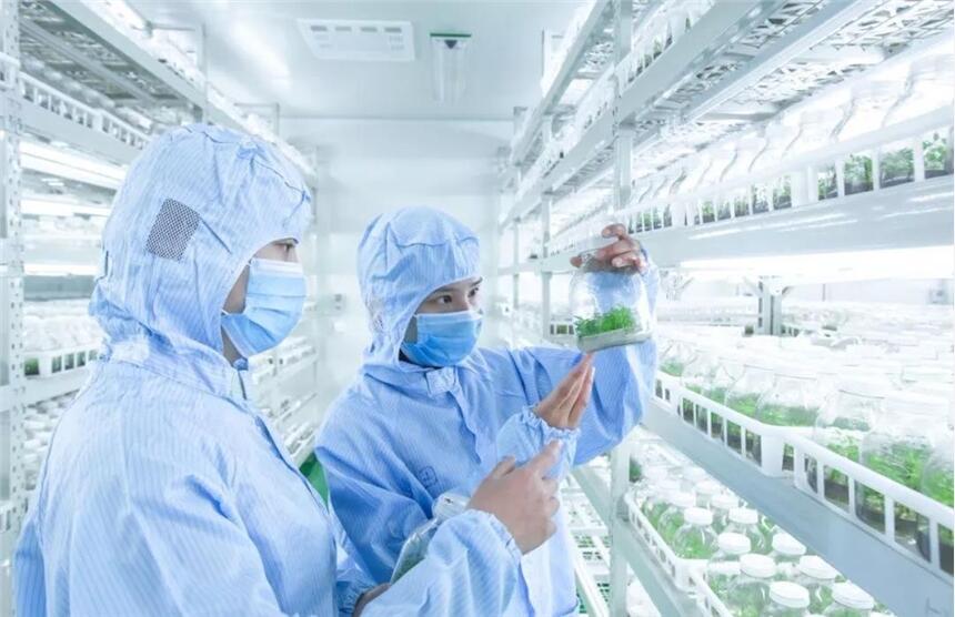 生物組培架 打造高效組培室的核心裝備